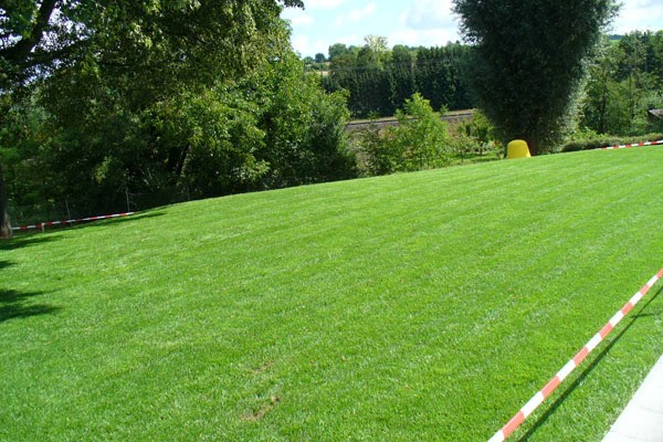 verlegung-rollrasen-galerie-51BF56DB28-04D6-5895-1341-1C44ABF369ED.jpg